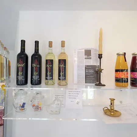 Апартаменты Da Kaethy A Val Mesolcina Grono