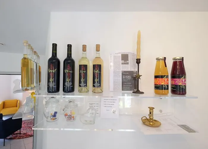 Daire Da Kaethy A Val Mesolcina Grono